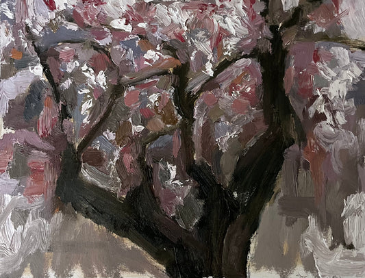 Late Season Cherry Blossom Oil Painting